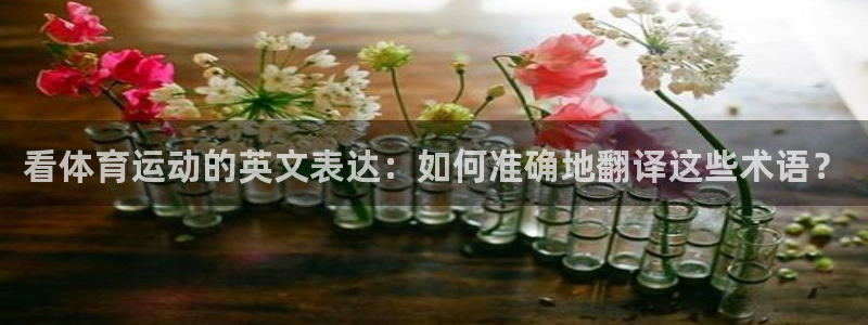 JJB竞技宝官网下载注册:看体育运动的英文表达:如何准确地翻