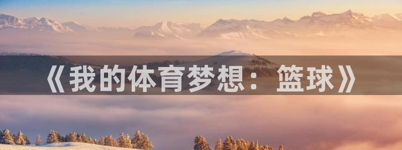 JJB竞技宝官网下载平台是正规平台吗:《我的体育梦想:篮球》
